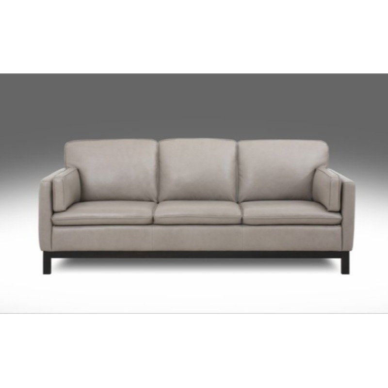 Leather Sofa and Loveseat