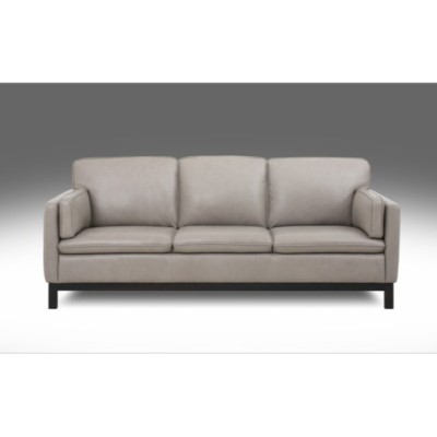 Leather Loveseat